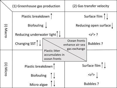 The links between marine plastic litter and the air-sea flux of greenhouse gases